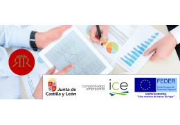 Proyecto de I+D+i en el ámbito tecnológico de las PYMES