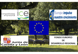 Revisan llega a China